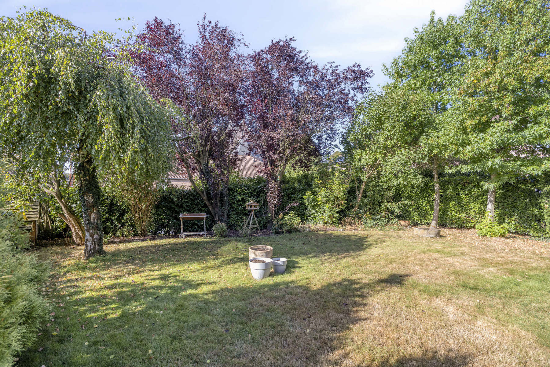 Huis te koop foto 49