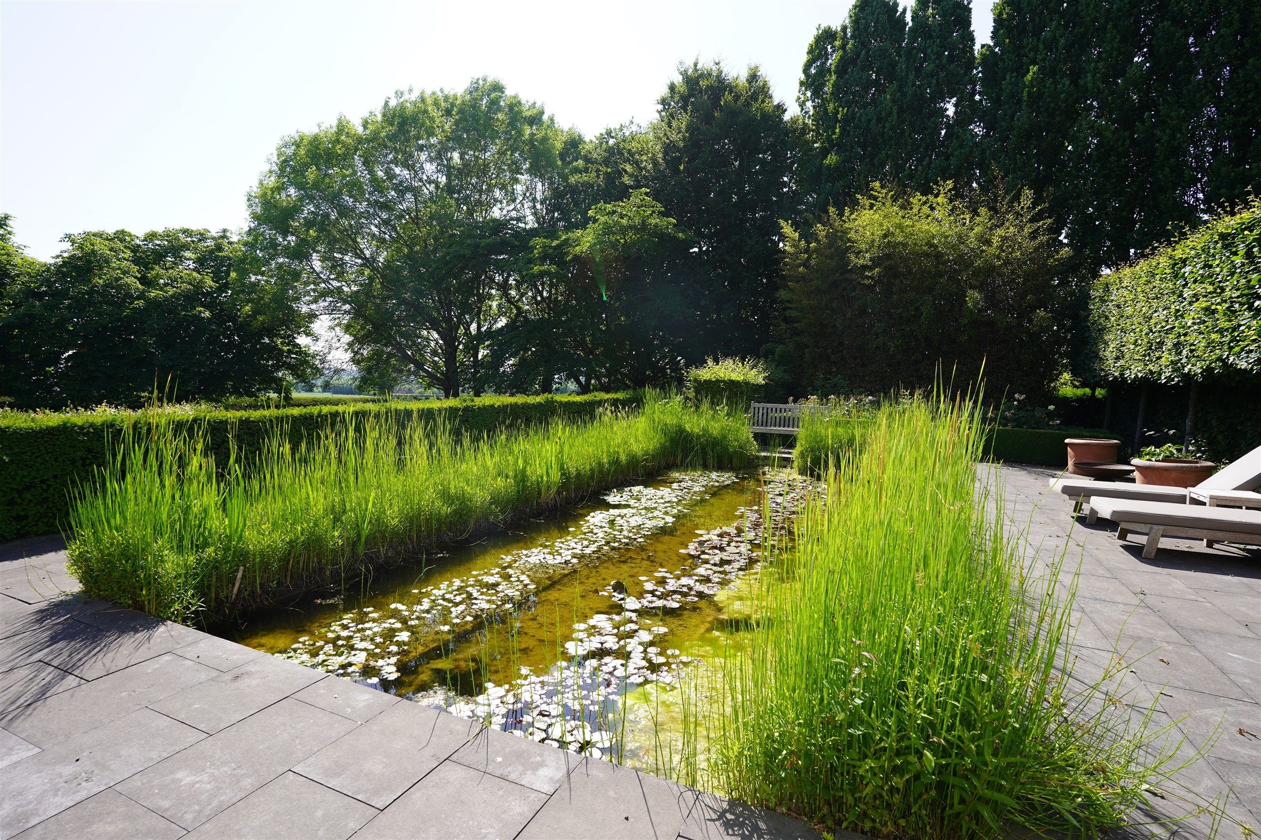 Aan Bellegem bos: Idyllische eigendom op 7.630 m² foto 7