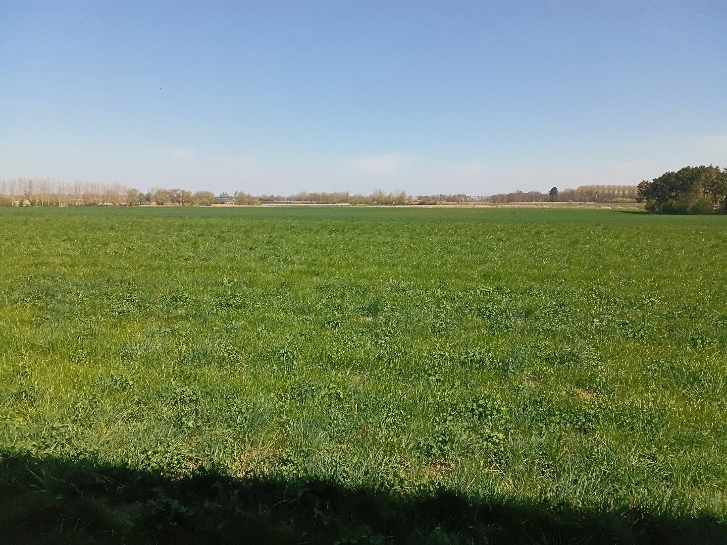 Te koop: landelijk gelegen hoeve foto 13