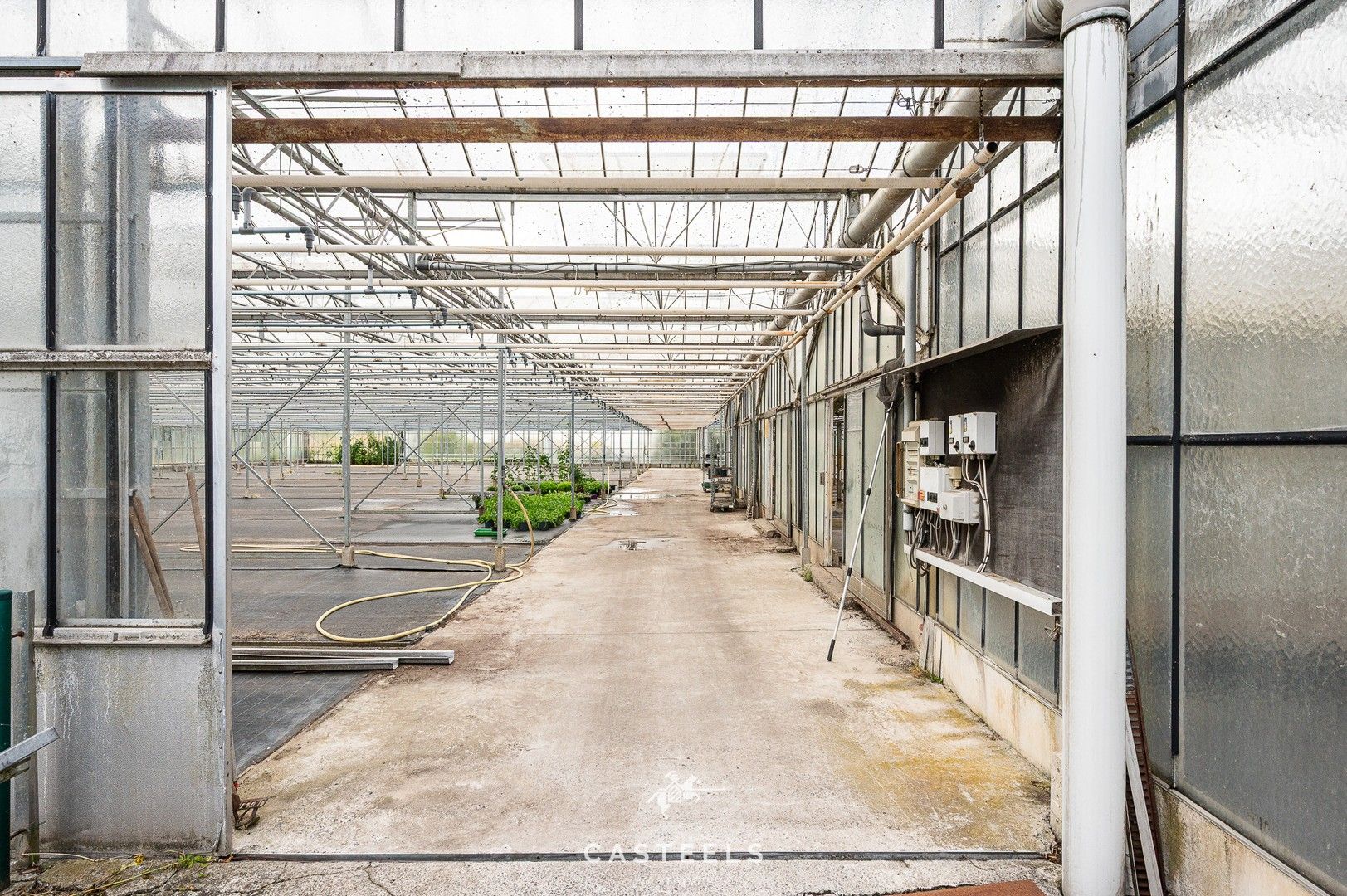Uitzonderlijke tuinbouwsite in hartje Lochristi - 2,5 hectare met tal van mogelijkheden foto 8