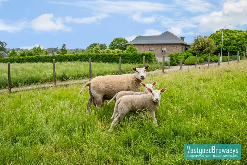 Authentieke hoeve met bijgebouwen en aangename tuin midden in een oase van groen foto 7