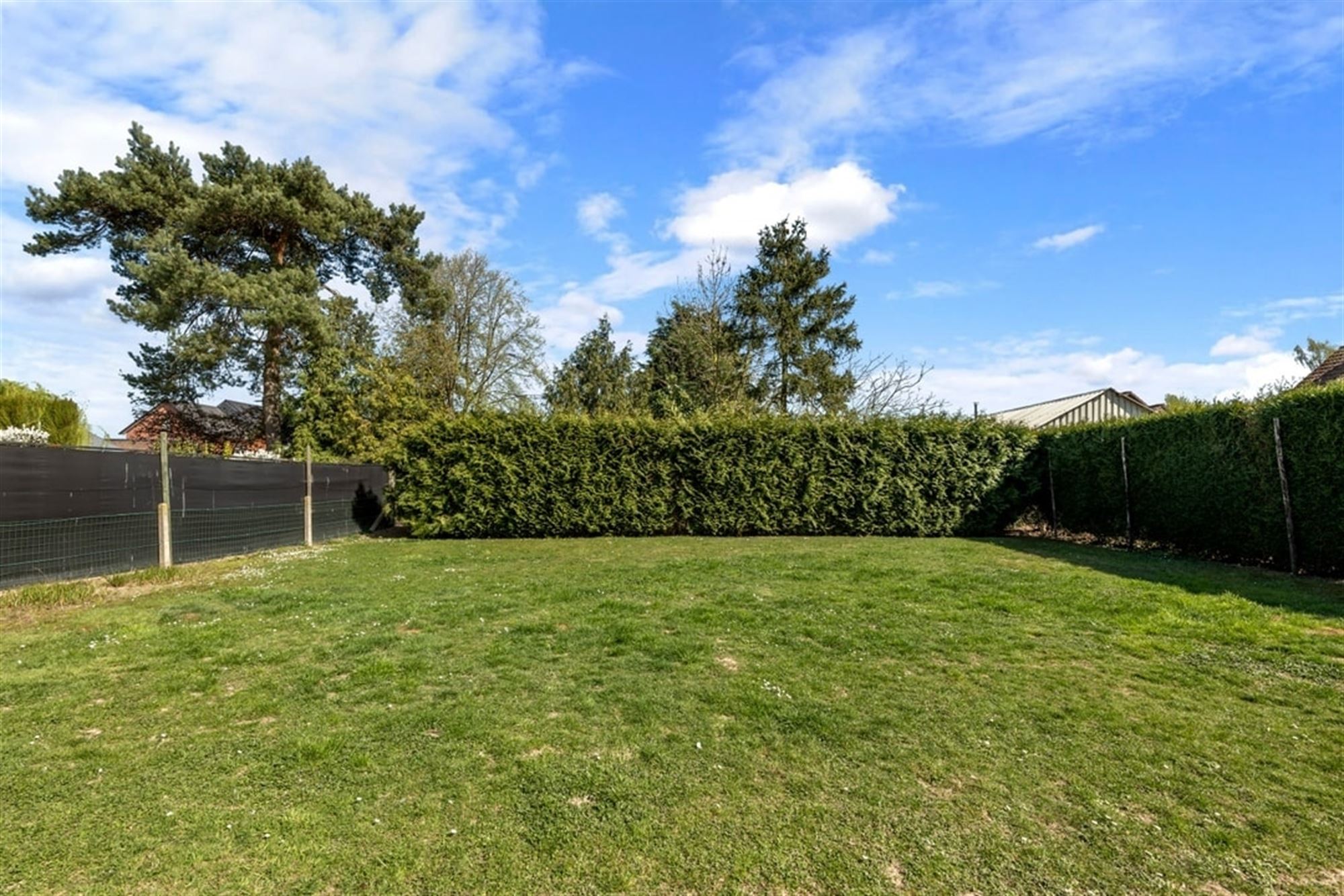 GEZELLIGE GEZINSWONING MET GARAGE OP EEN TOPLOCATIE IN ZEPPEREN  foto 32