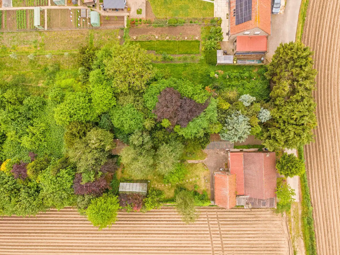 Zuidgericht perceel met prachtig landelijk verzicht op een rustige ligging in Ledegem foto 6