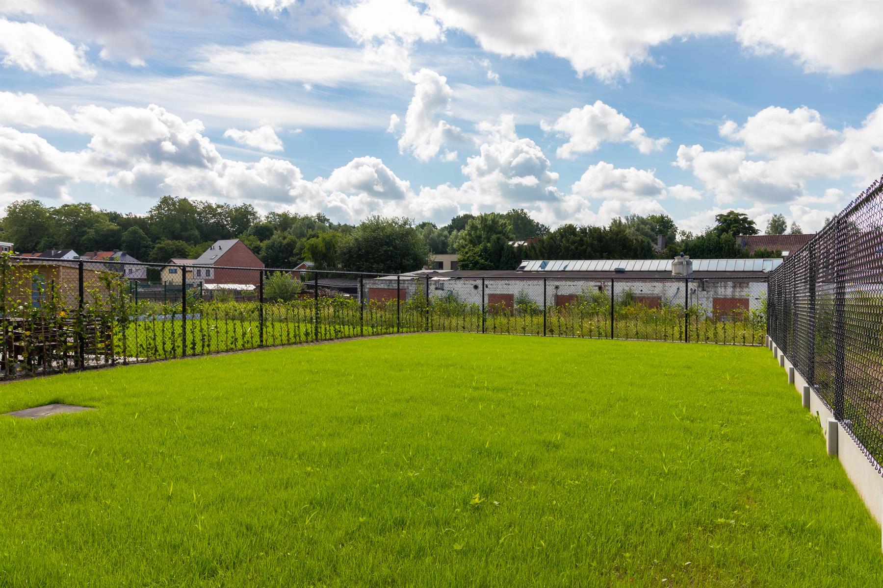 Huis te huur foto 20
