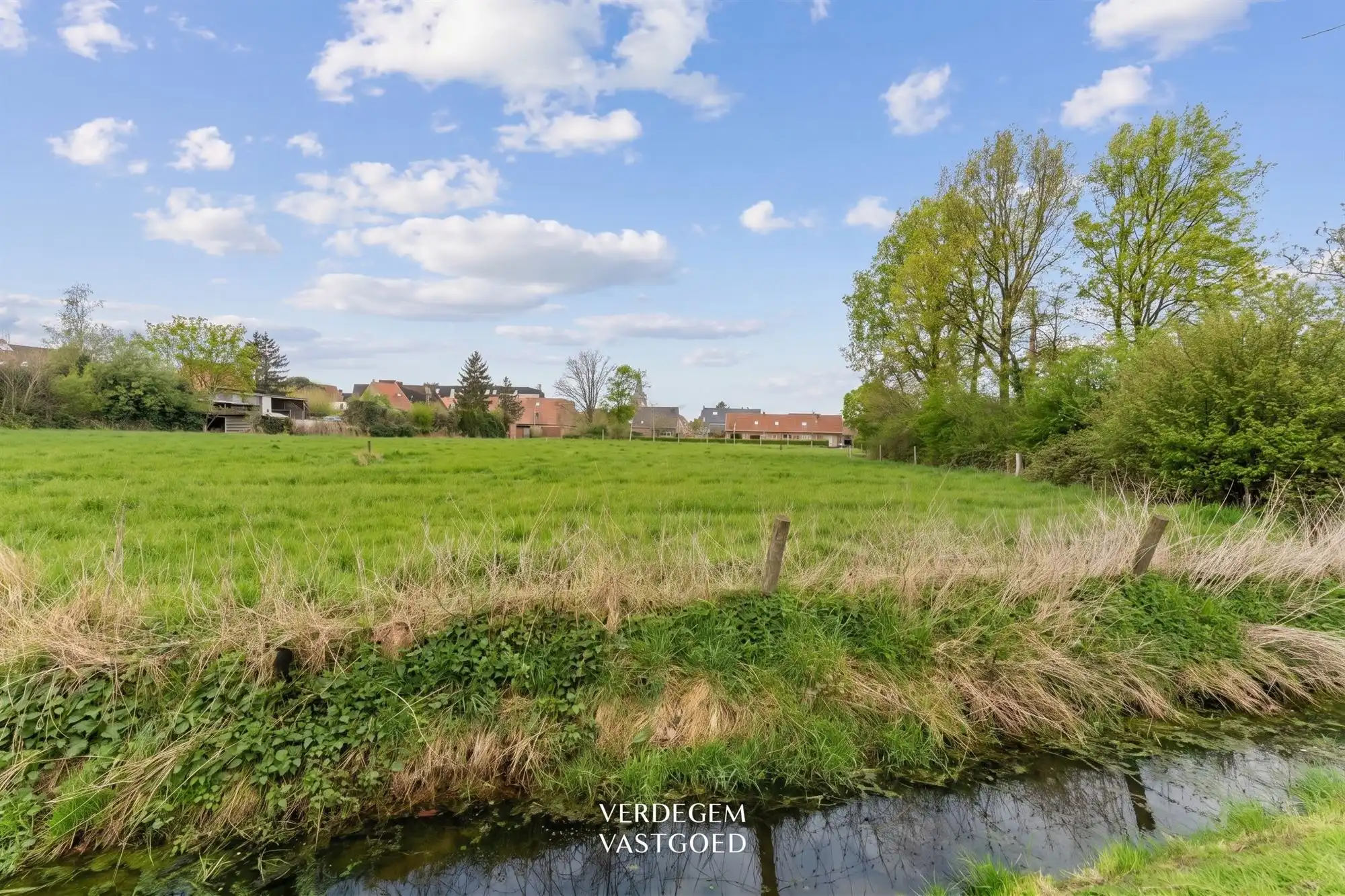 Hoevewoning met schuur en uniek zicht op weilanden en knotwilgen foto 19