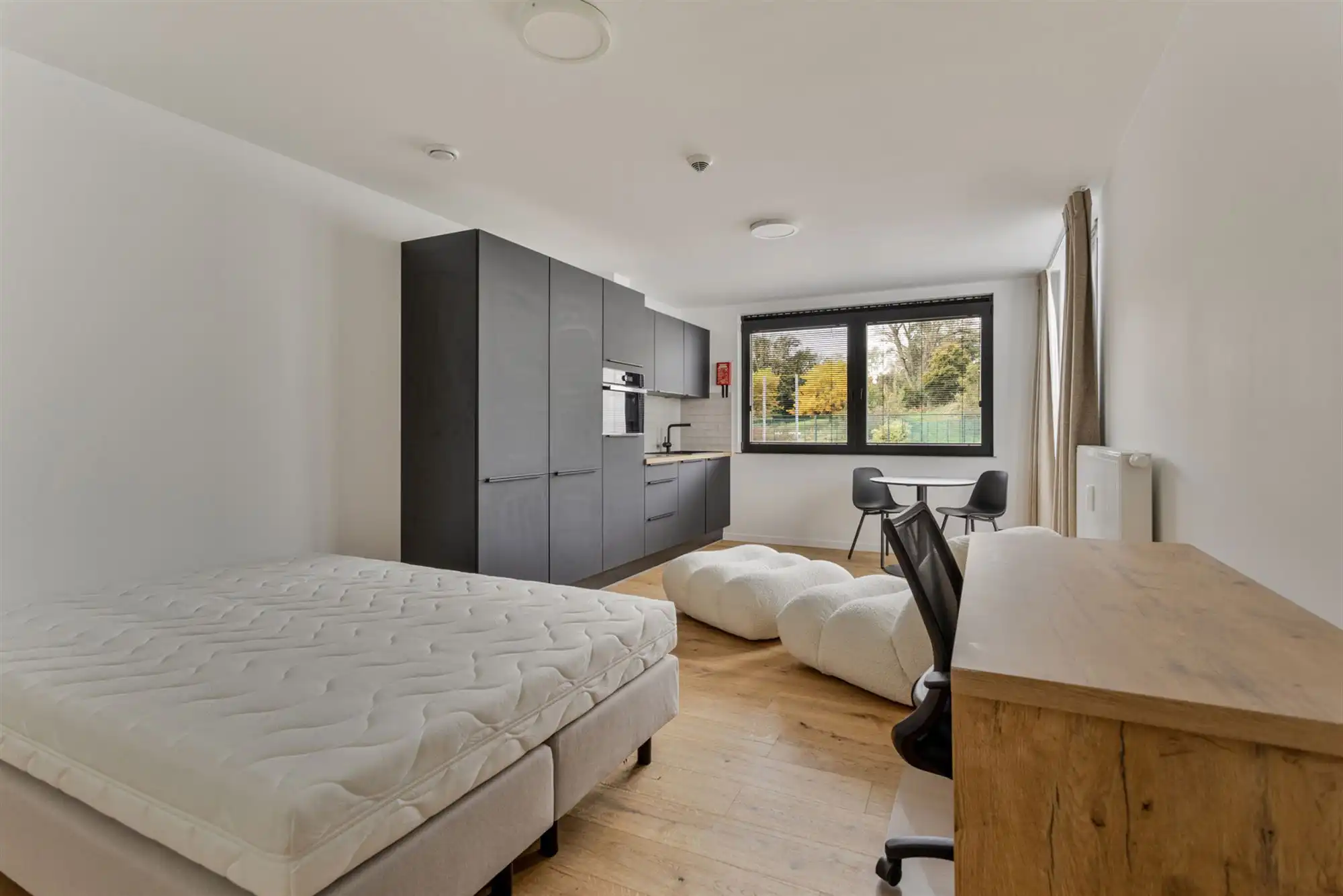 Luxueus studeren stadsrand Leuven! foto {{pictureIndex}}