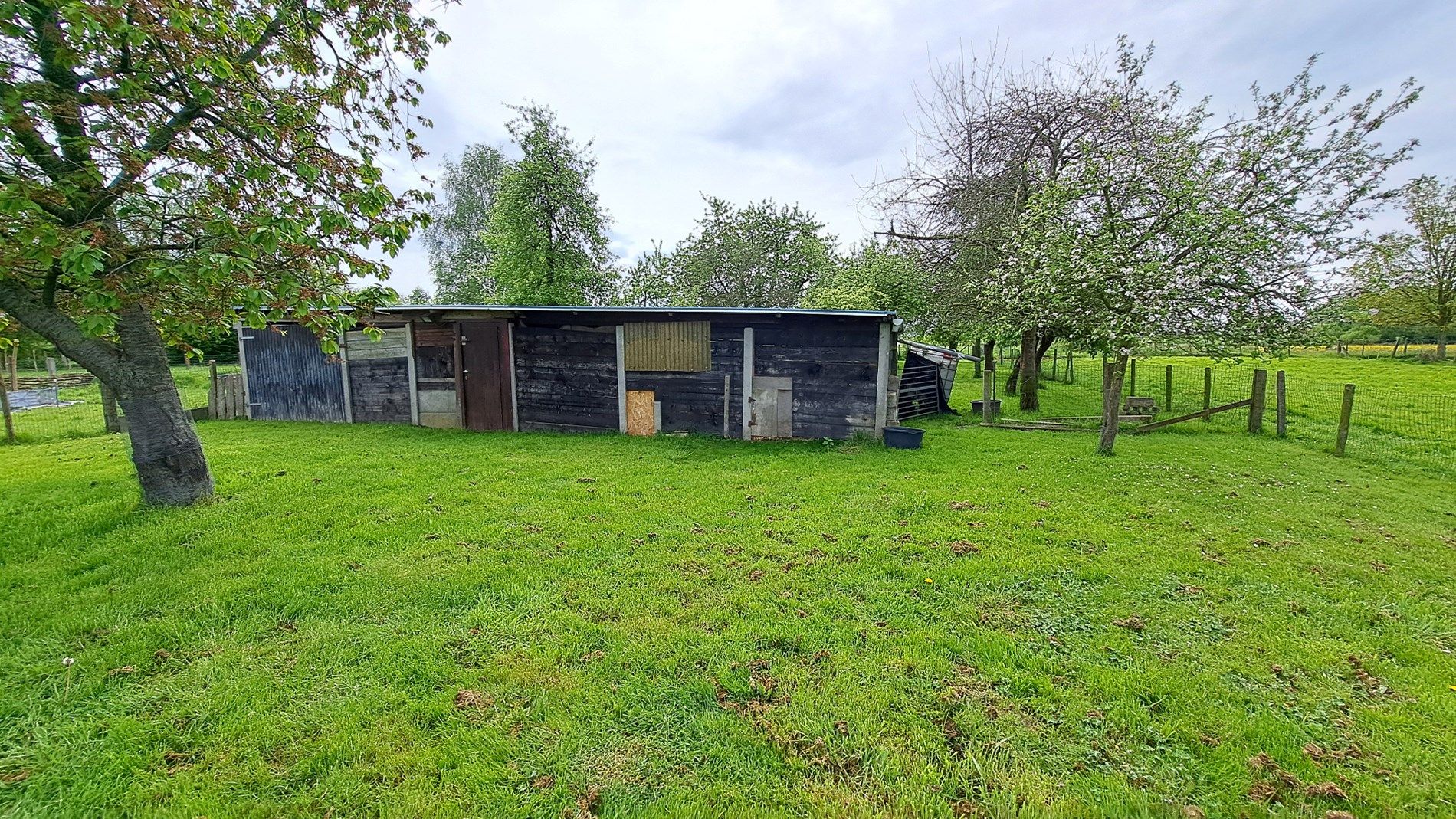 Villa met 6 slaapkamers, 2 badkamers en grote tuin foto 4