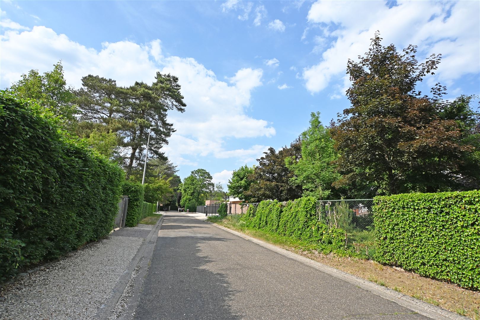 Bouwgrond in doodlopende straat in de 'Bloemenwijk' foto 3