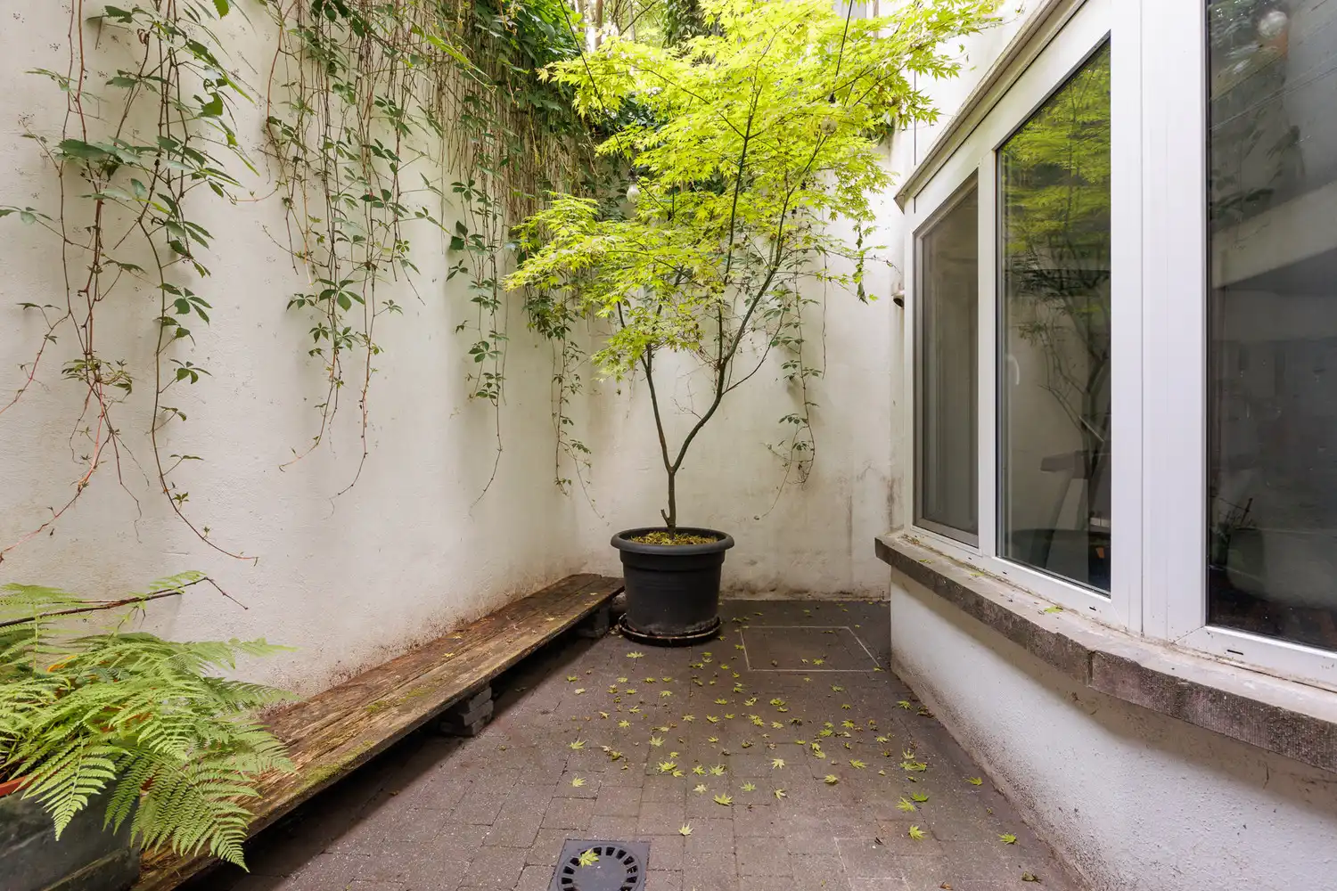 Instapklare en ruime herenwoning (362m²/EPC B) met zalige buitenruimtes op toplocatie te Antwerpen-Zuid: ideaal voor combi wonen/werken! foto 33