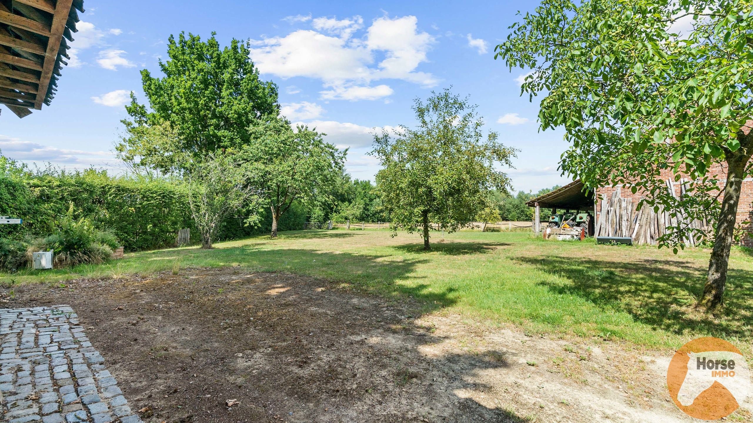 TESSENDERLO - Uniek gelegen hoeve met schuren op 3ha76 foto 30