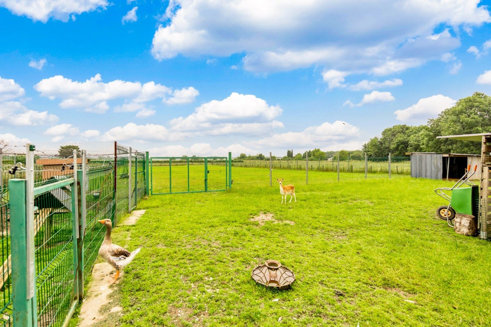 Knappe villa op een prachtig perceel van 39,69 are te Riemst foto 30