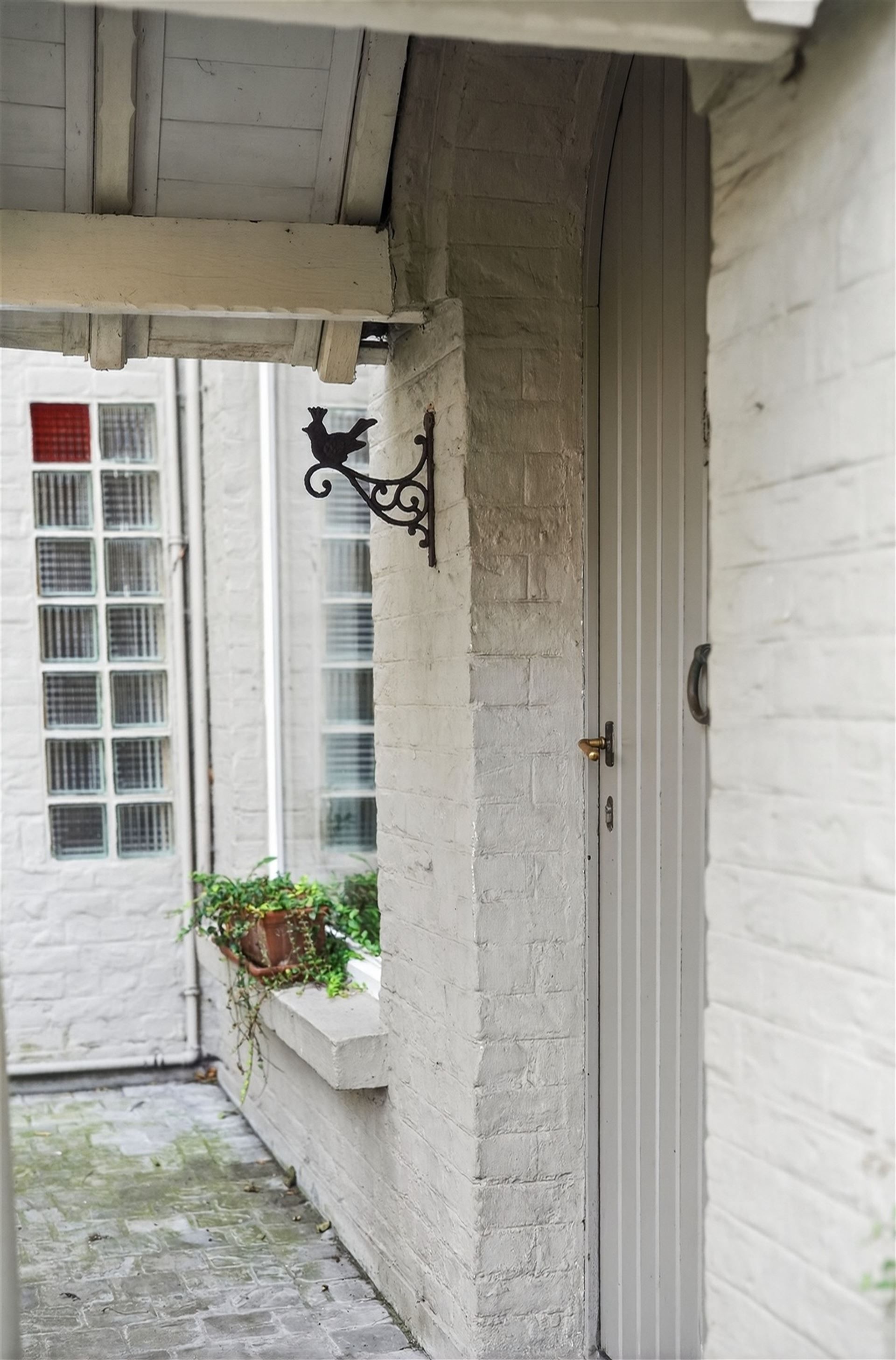 EXCLUSIEF / GROENE OASE  foto 53