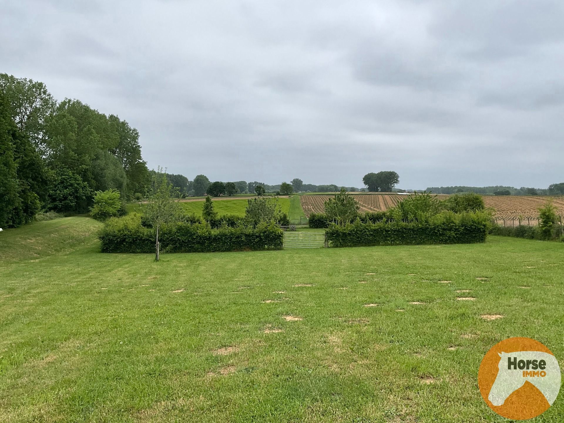 GERAARDSBERGEN - Rustig gelegen weide - 1,04 ha  foto {{pictureIndex}}
