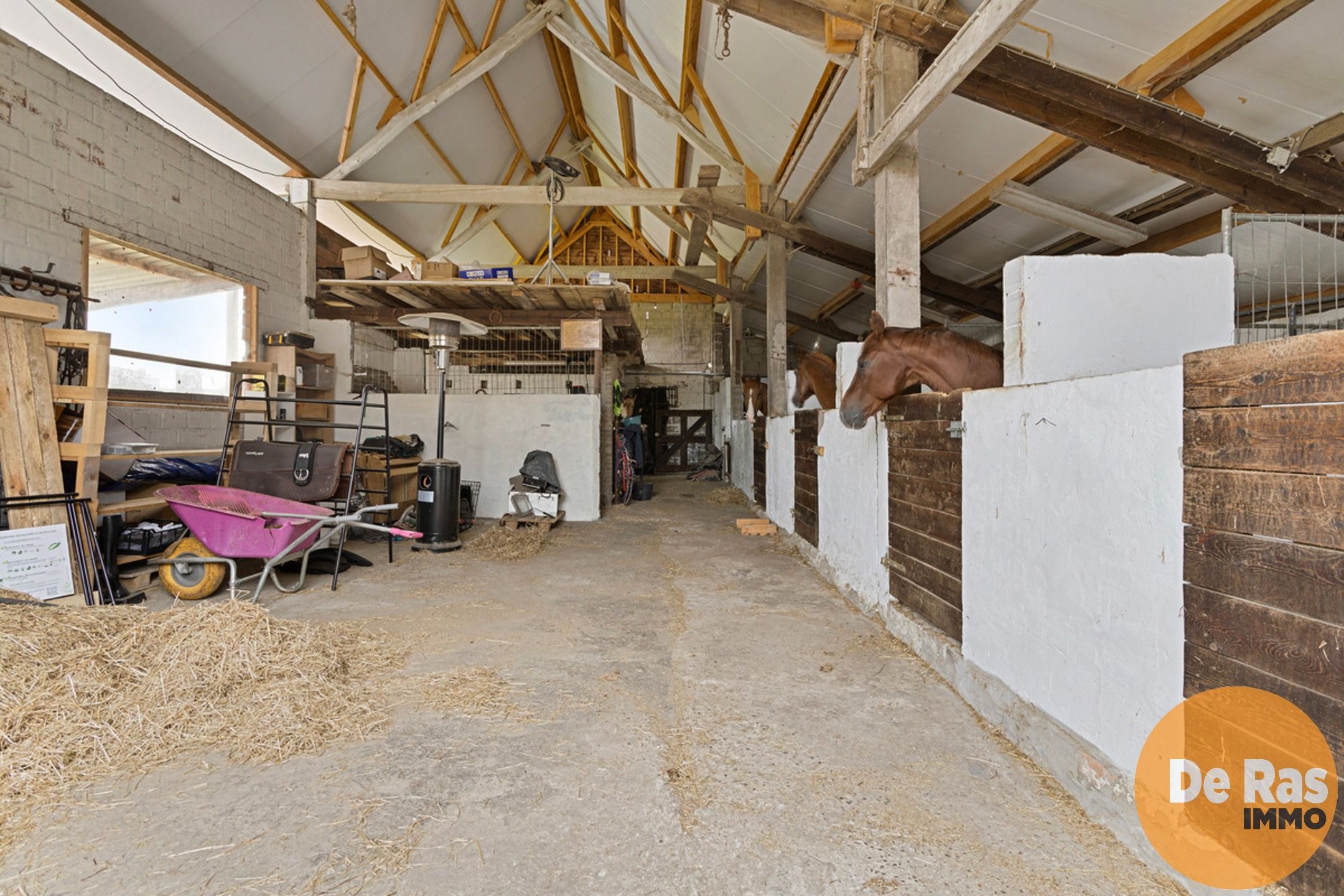 MASSEMEN - Landelijke woning met magazijn/ paardenstal foto 20