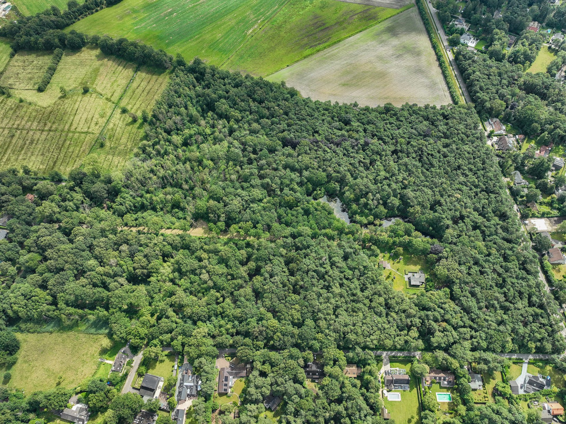 Uitzonderlijk domein met woonst op ca. 143.000 m² foto 15