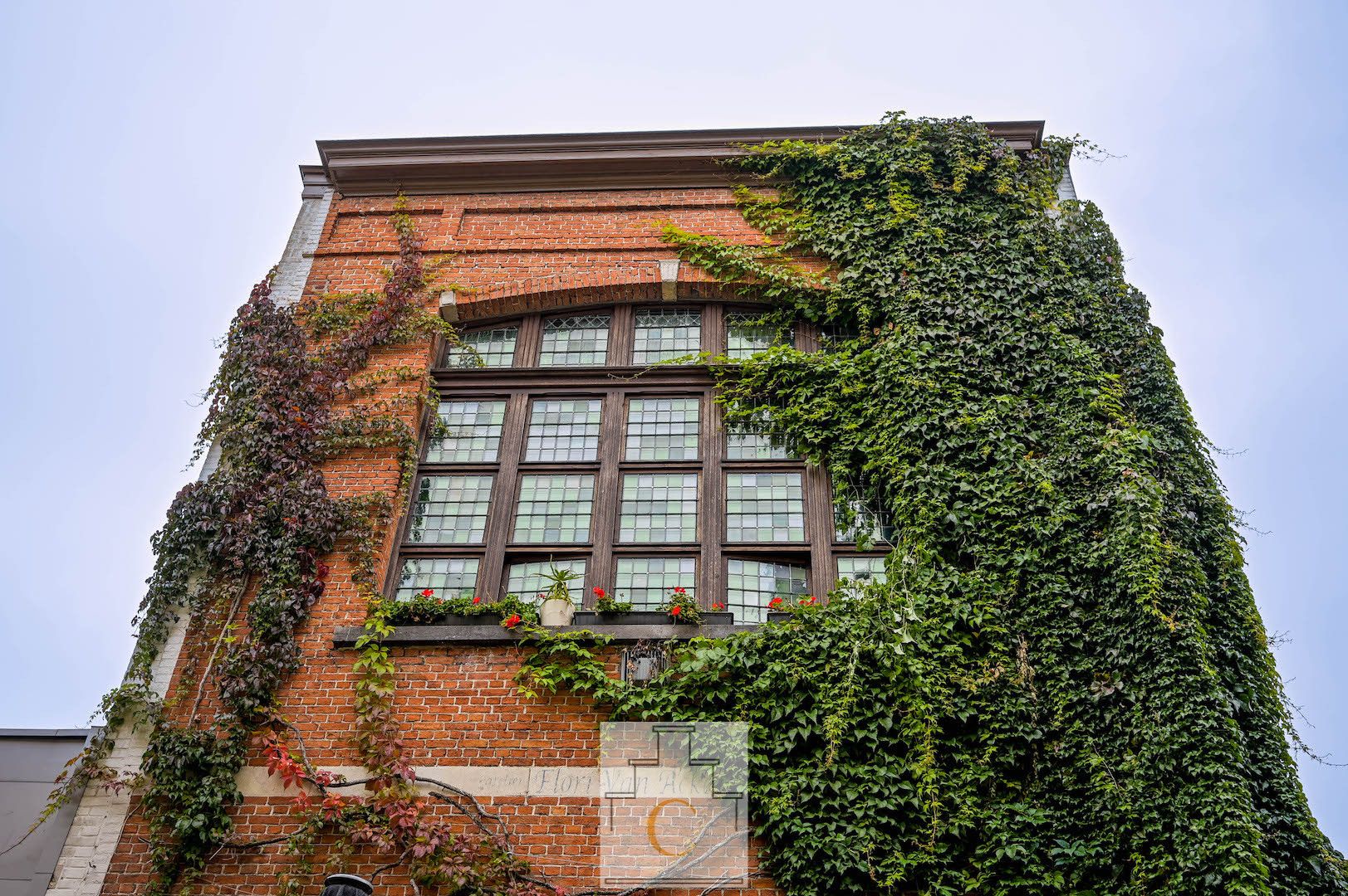 Huis Flori Van Acker, woon- en handelshuis met historisch cachet, groot en zonnig terras met subiem zicht op Sint-Salvatorskathedraal foto 3