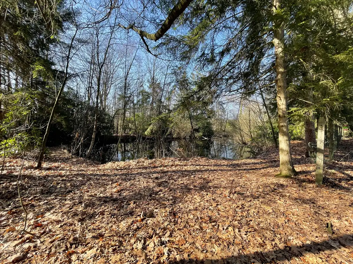 Verblijfsrecreatie met vijver foto 7