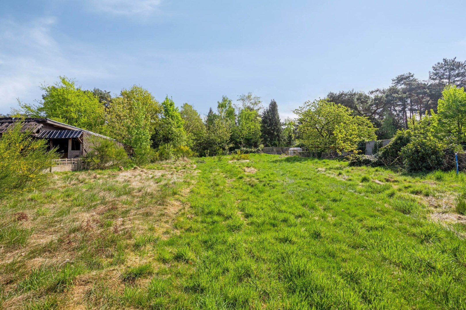 Prachtig gelegen bouwgrond van 1.277 m² voor ruime open bebouwing ! foto 18