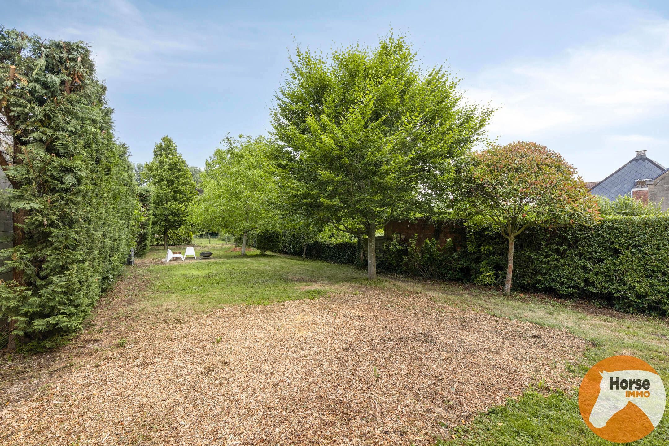 BURST - Instapklare woning met bijgebouw en ruime tuin/weide foto 3