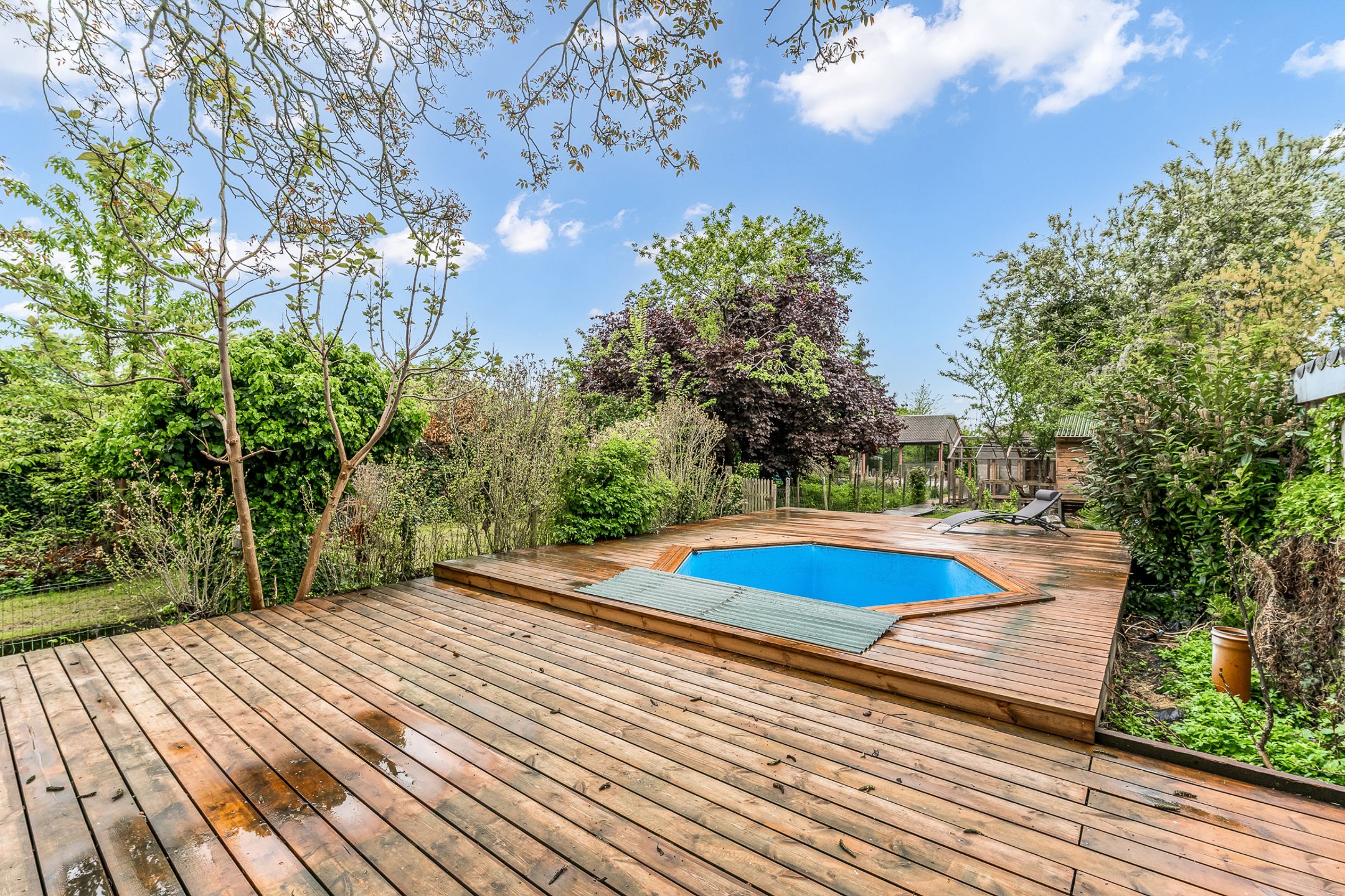 Instapklare woning met werkplaats te Vroenhoven foto 23