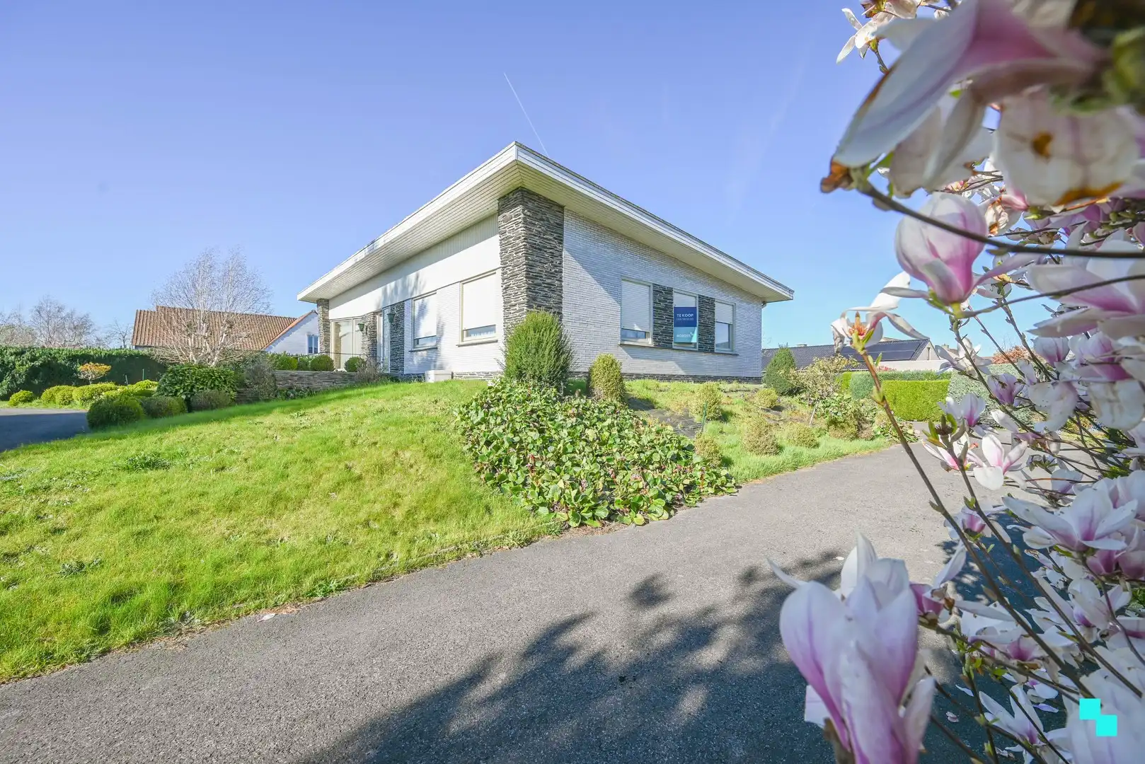 Statige gelijkvloerse villa in Waregem foto 3