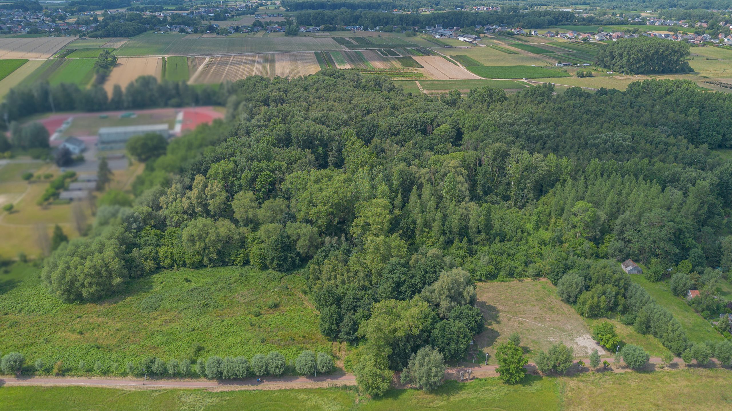 OORDEGEM - bos 2ha 21ca foto 6