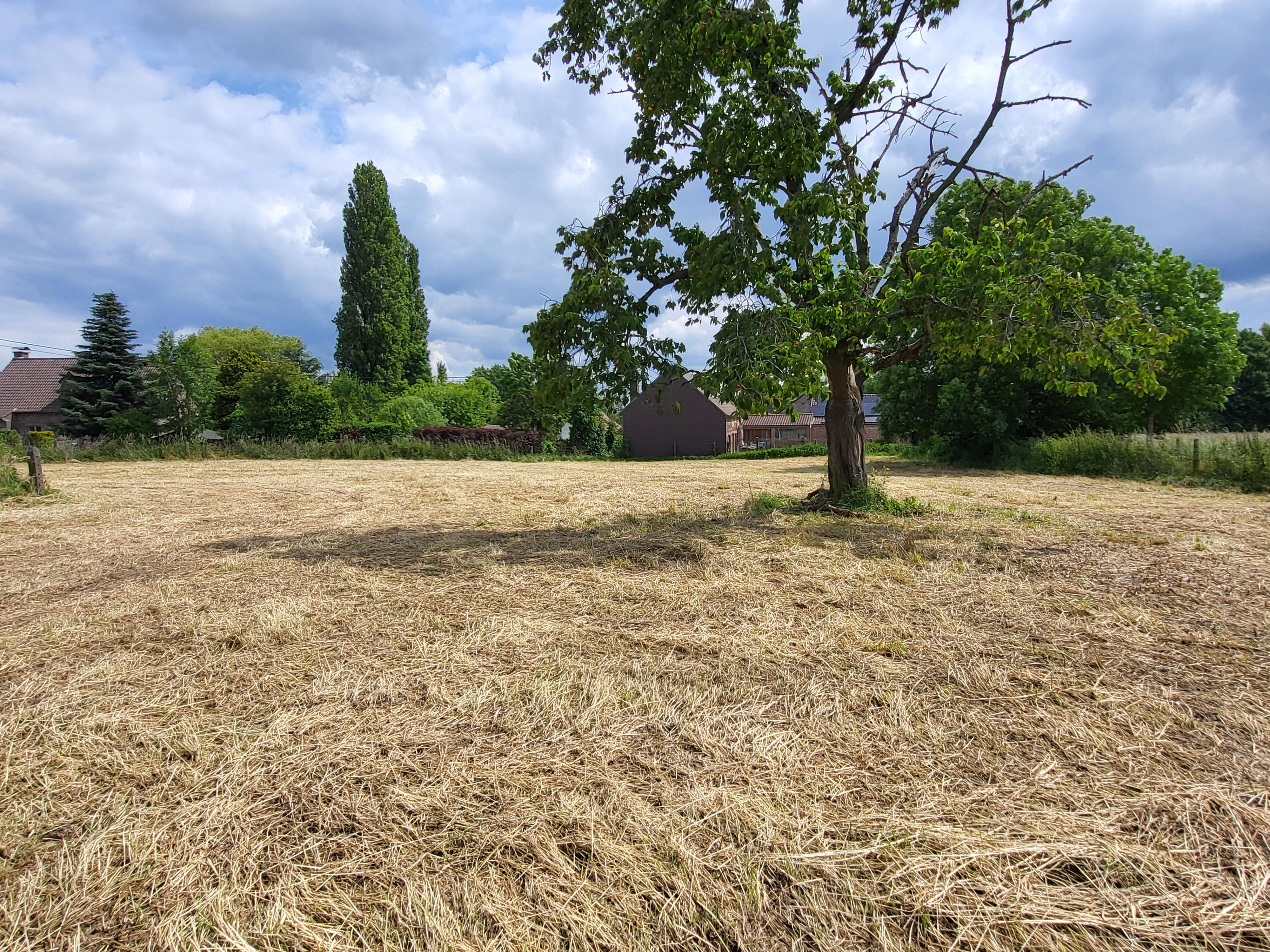 Charmant te renoveren vierkanthoeve op 2696m² met panoramisch uitzicht op de velden.  foto 12