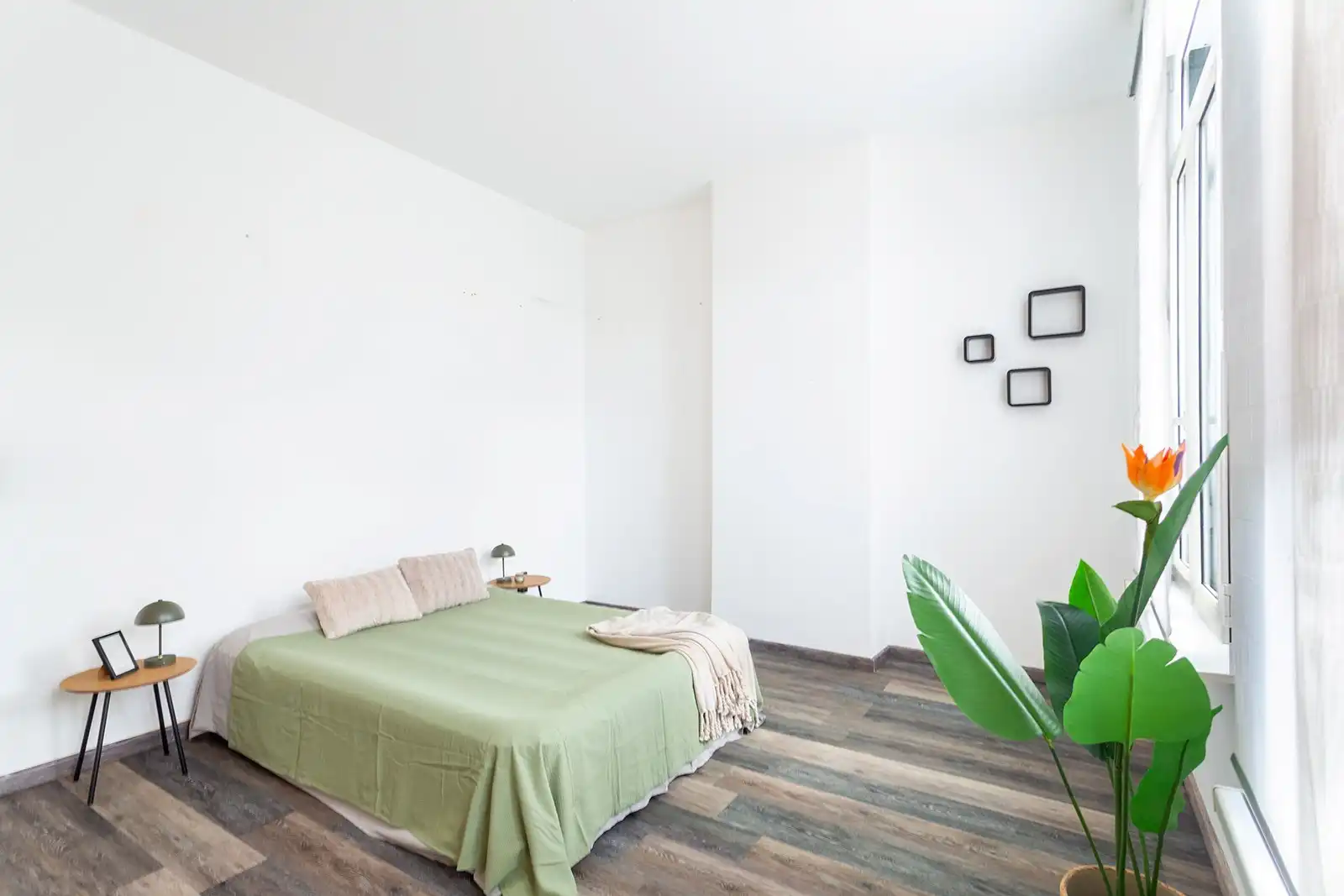 Wonen tussen Zurenborg en het Moorkensplein foto 12