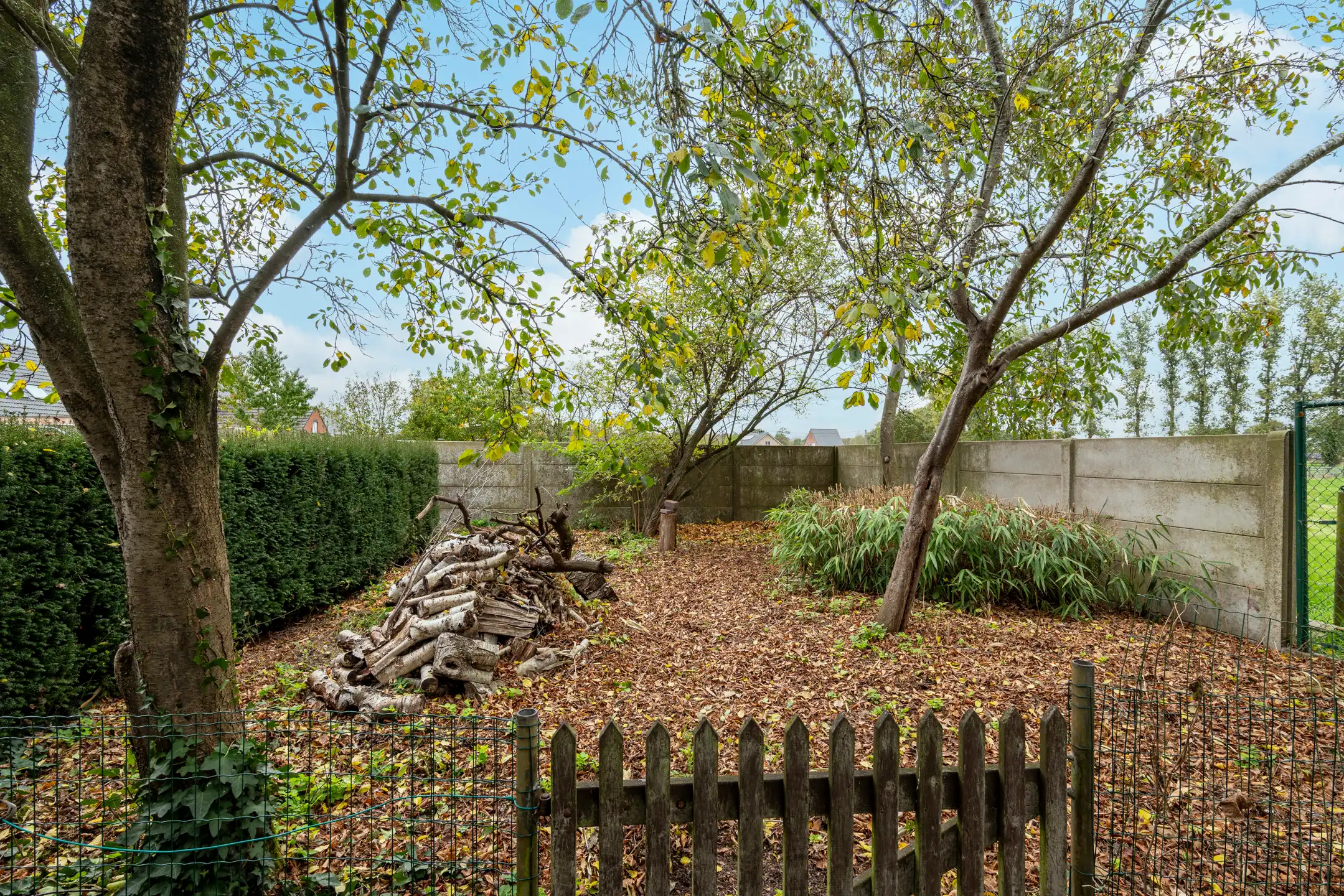 Ruime woning met grote opslagplaats in Beerse foto 28