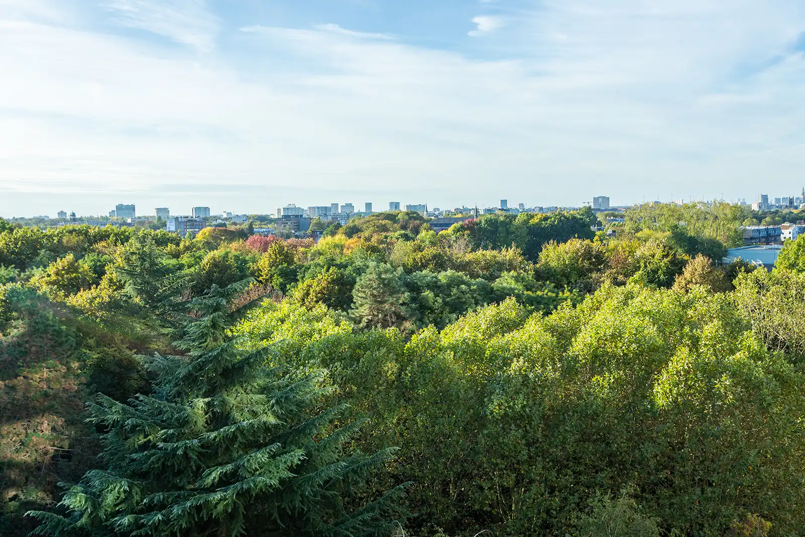 Gerenoveerde parel in het groen  foto 18