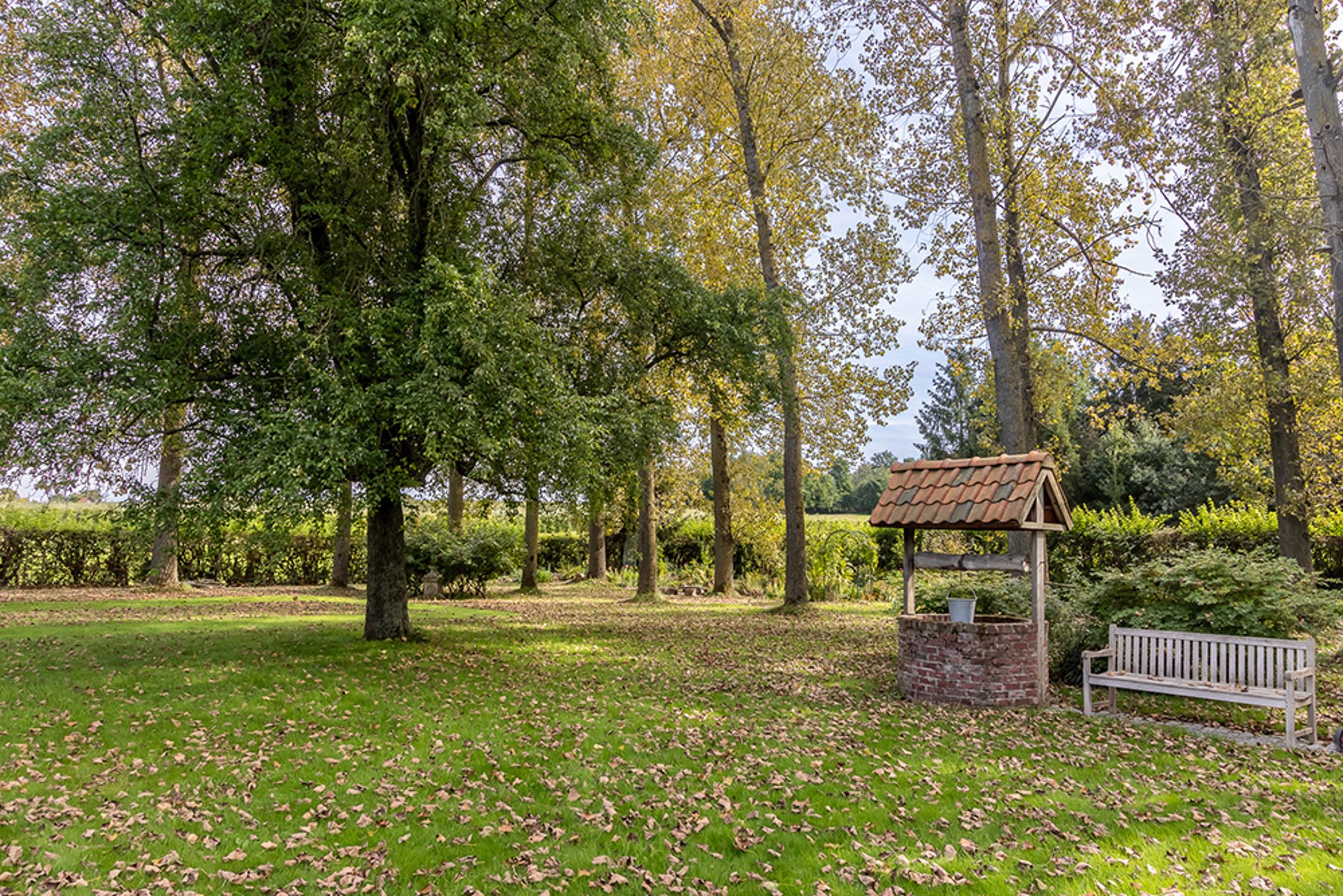 Gerestaureerde vierkantshoeve met B&B op 80 are grond foto 42