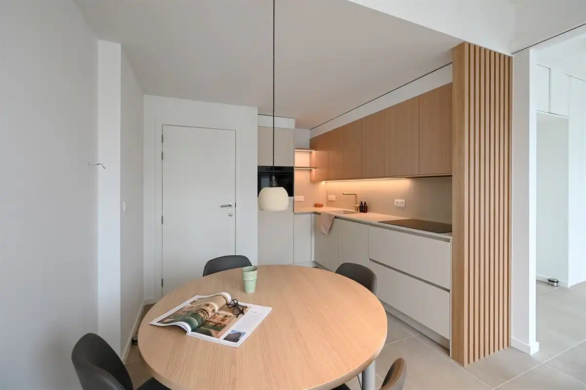 Recent gerenoveerd studio-appartement met aparte slaapkamer foto 3