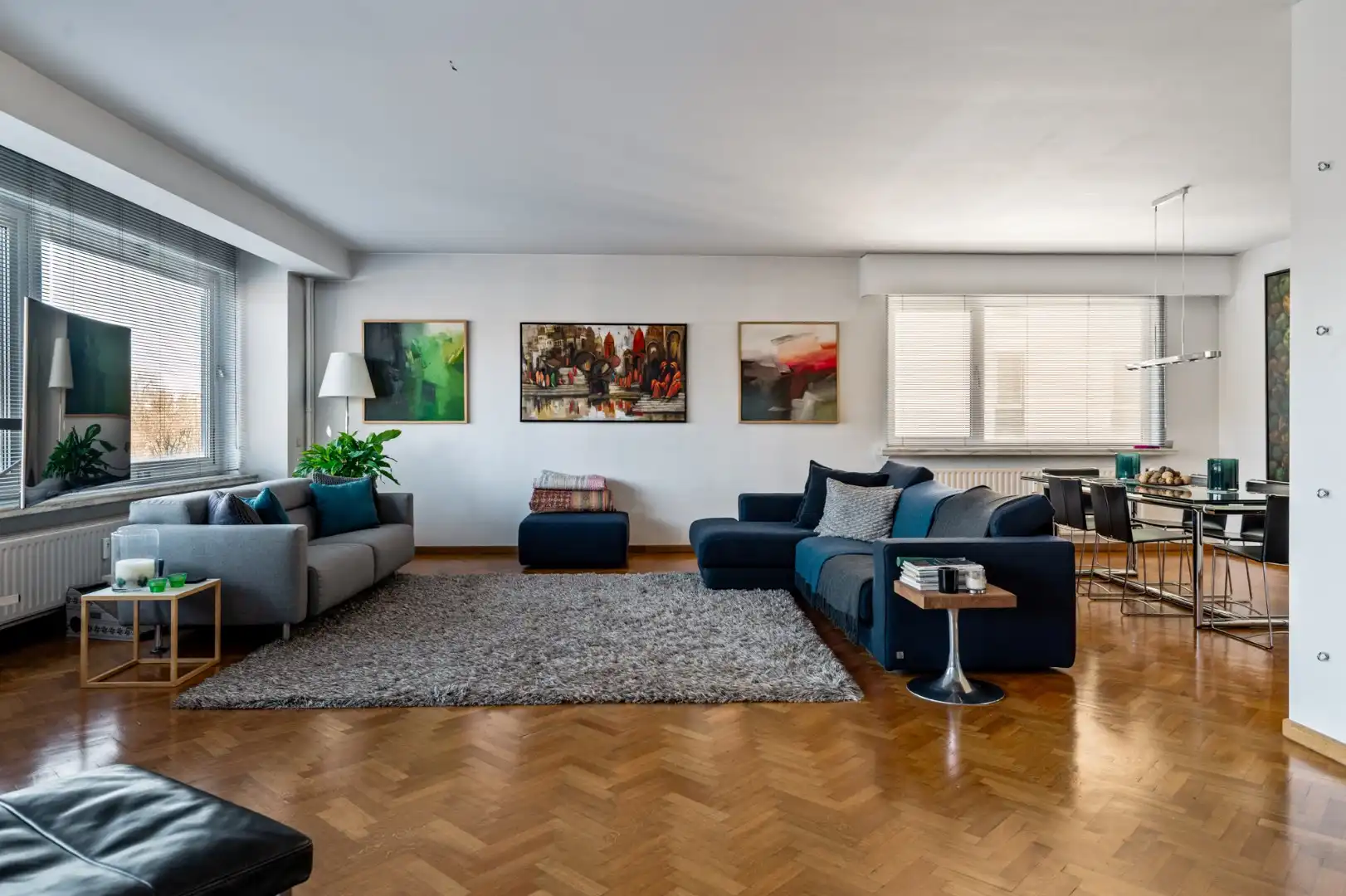 Riant appartement met prachtig zicht over het Stadspark! foto 5