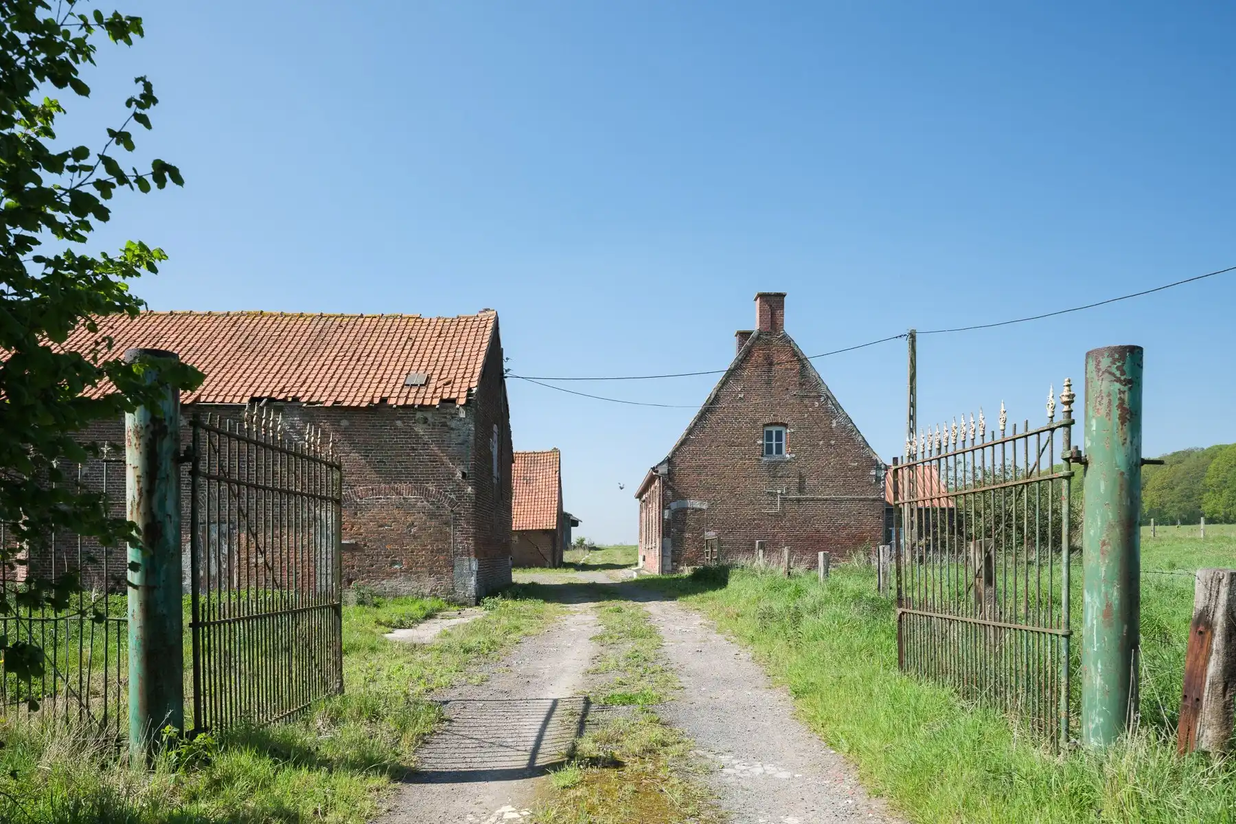 Hoofdfoto van de publicatie: Een hectare groen, klaar voor jouw toekomst (zonevreemd!)