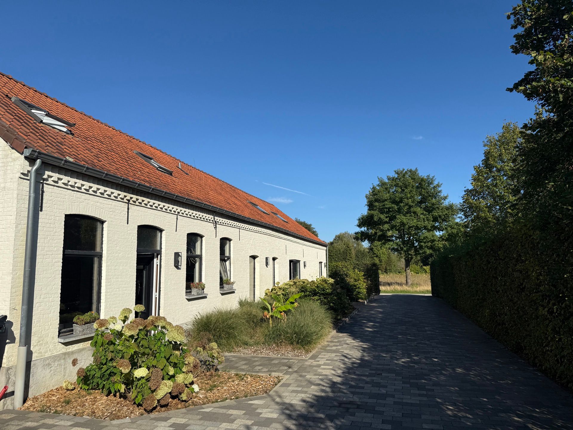HAM - Langgevelhoeve met stallen, piste en weiland op 1ha5 foto 30