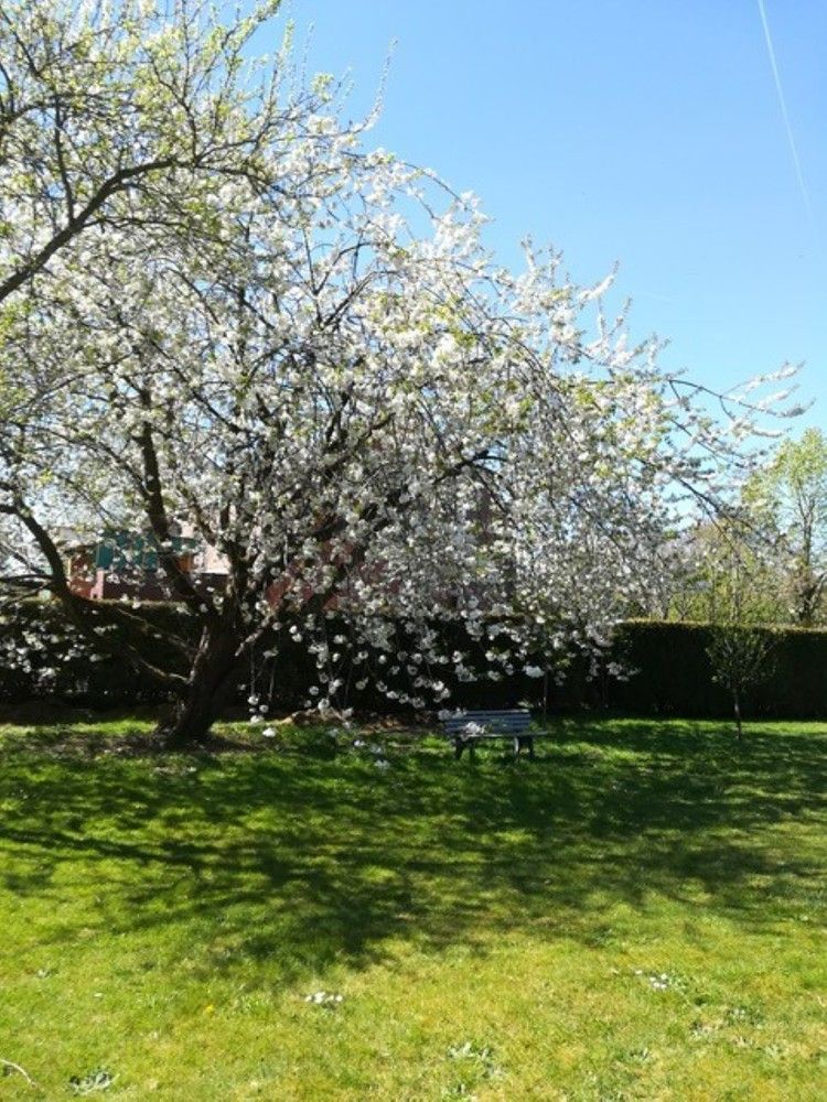 Rustig en discreet gelegen villa - Boven-Lo - op 25 are foto 12