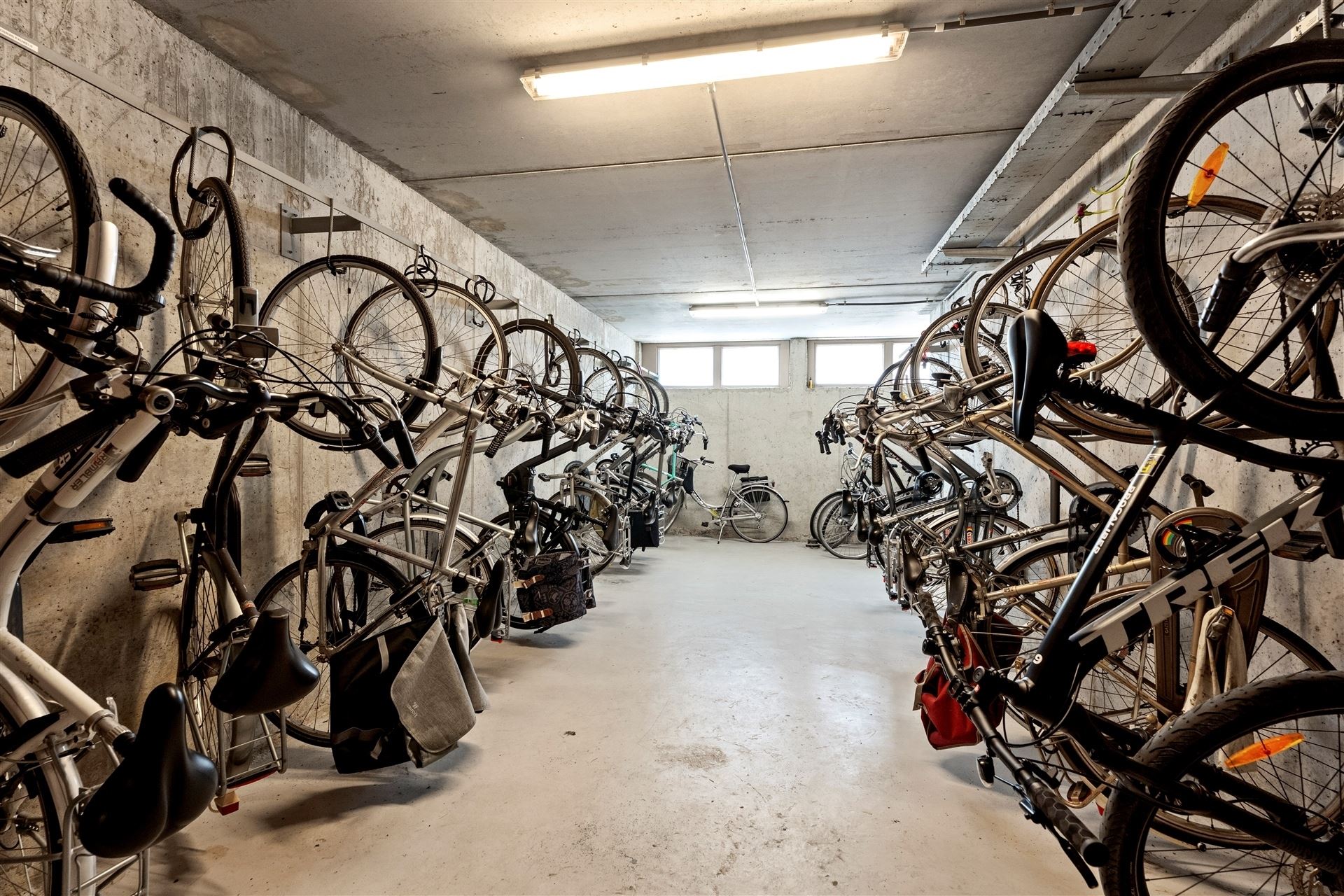 ZONNIG / TOPLOCATIE  foto 21