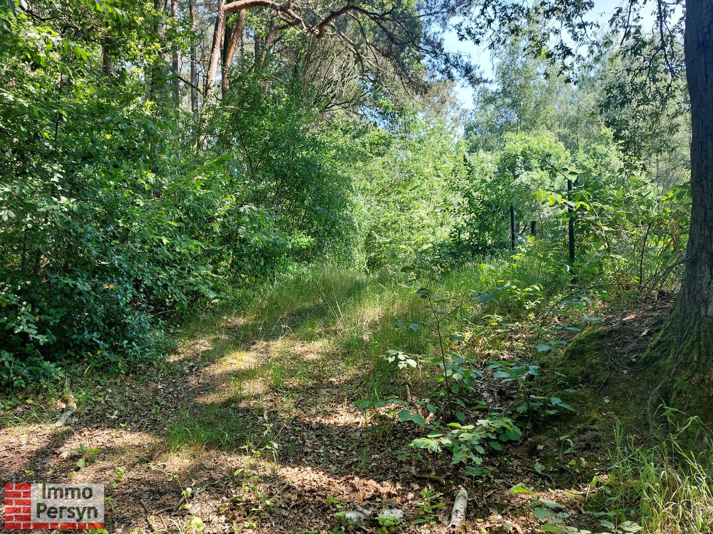 Bosgrond ten midden van het groen foto 4