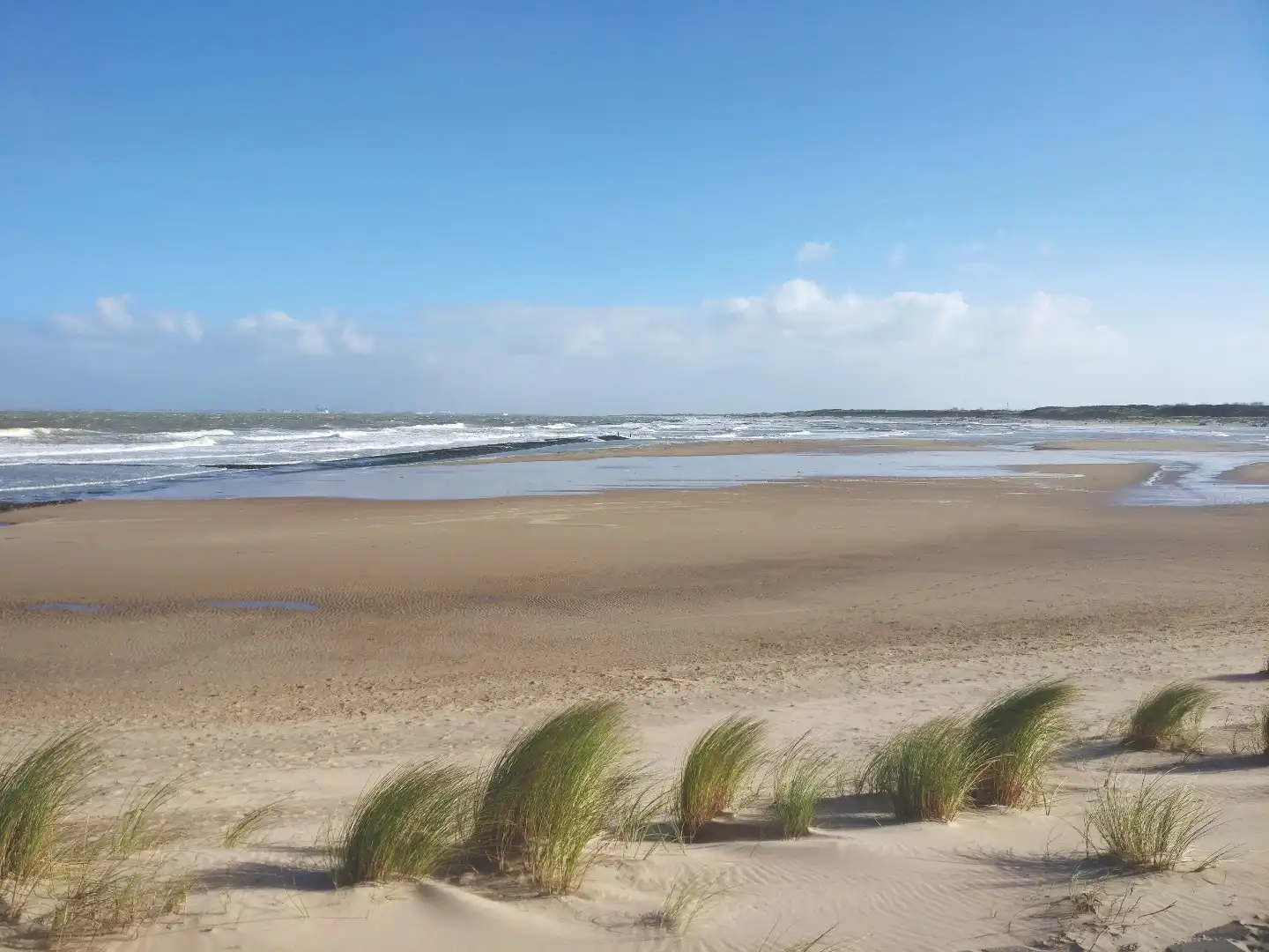 Exclusieve Bouwkavel met Architectonisch Ontwerp – Platteweg, Ter Hofstede foto 6