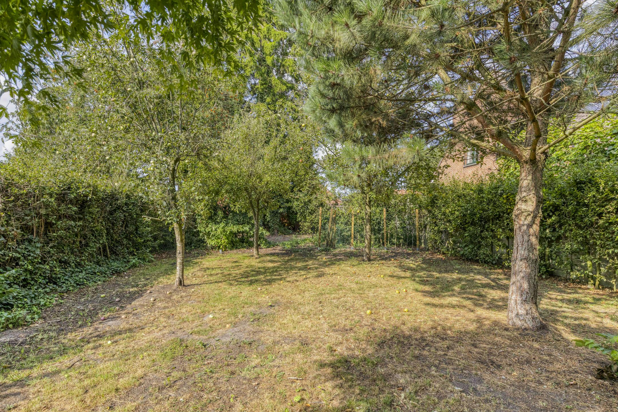 Karaktervol huis te koop nabij dorpskern Oostmalle! foto 23