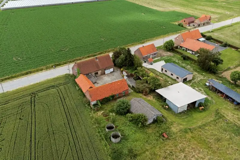 Hoeve foto 9