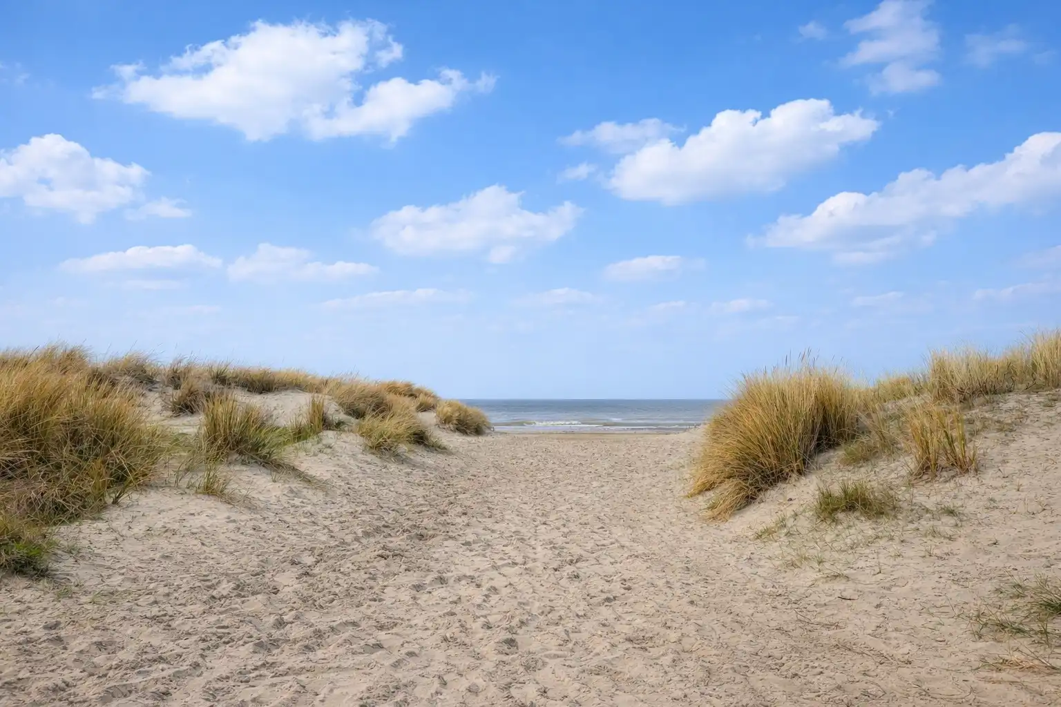 Prachtig appartement met ruim zonneterras op toplocatie in Koksijde vlak bij het strand!  foto 11