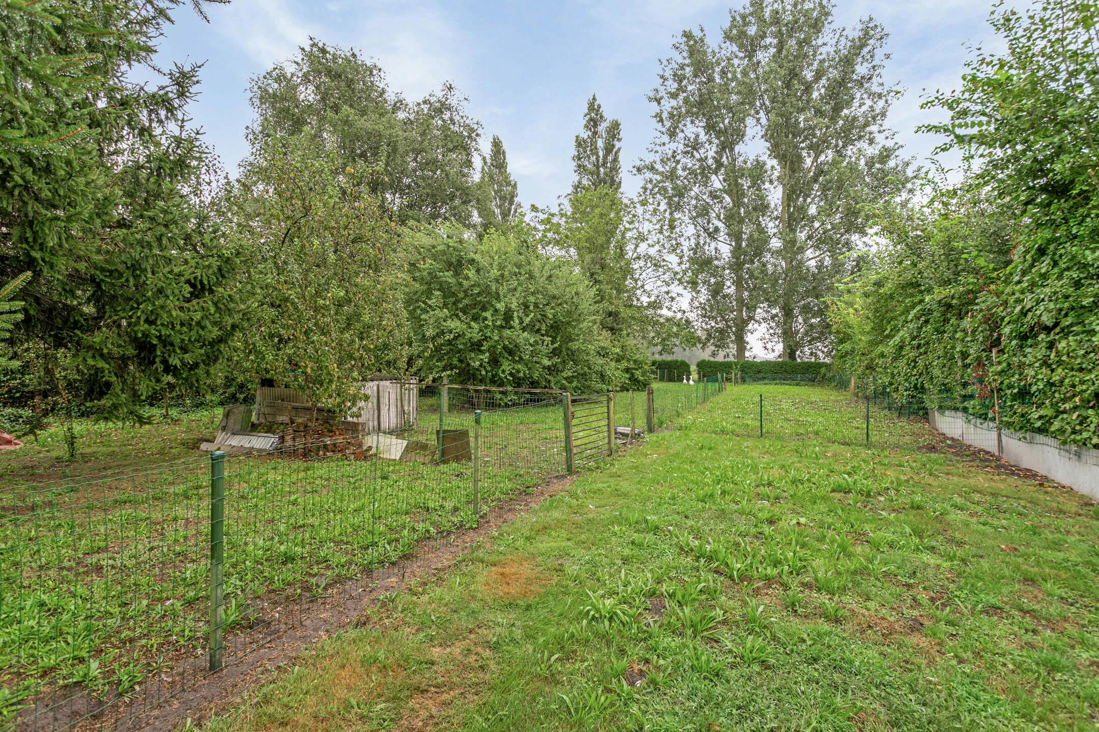 Vrijstaand huis met 3 slaapkamers en 1.675m² grond te Sijsele foto 4