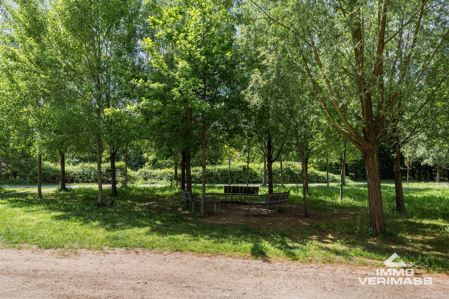 Balk Van Beel foto 18