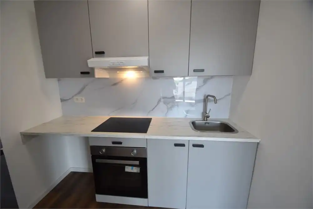 Gerenoveerd appartement aan de stadsrand foto 8