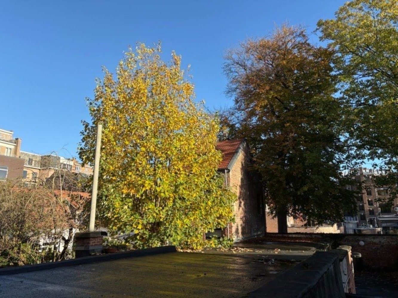 Instapklaar 3-slaapkamerappartement met terras in hartje Leuven foto 15
