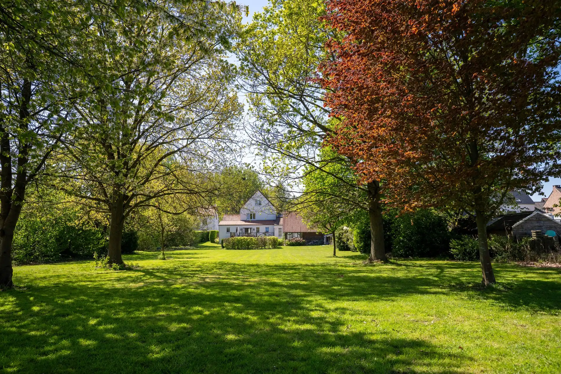 Karaktervolle villa met 4 slaapkamers, praktijkruimte en uitzonderlijke tuin te rijkhoven foto 30
