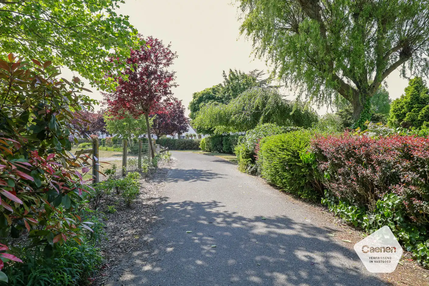 Charmante vakantiewoning in domein 't Veld foto 15