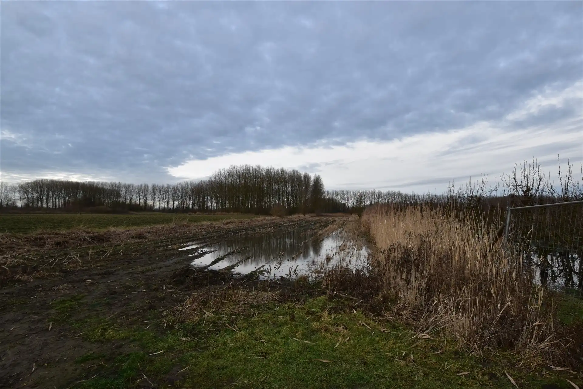 Landbouwgrond in Moerzeke foto 2