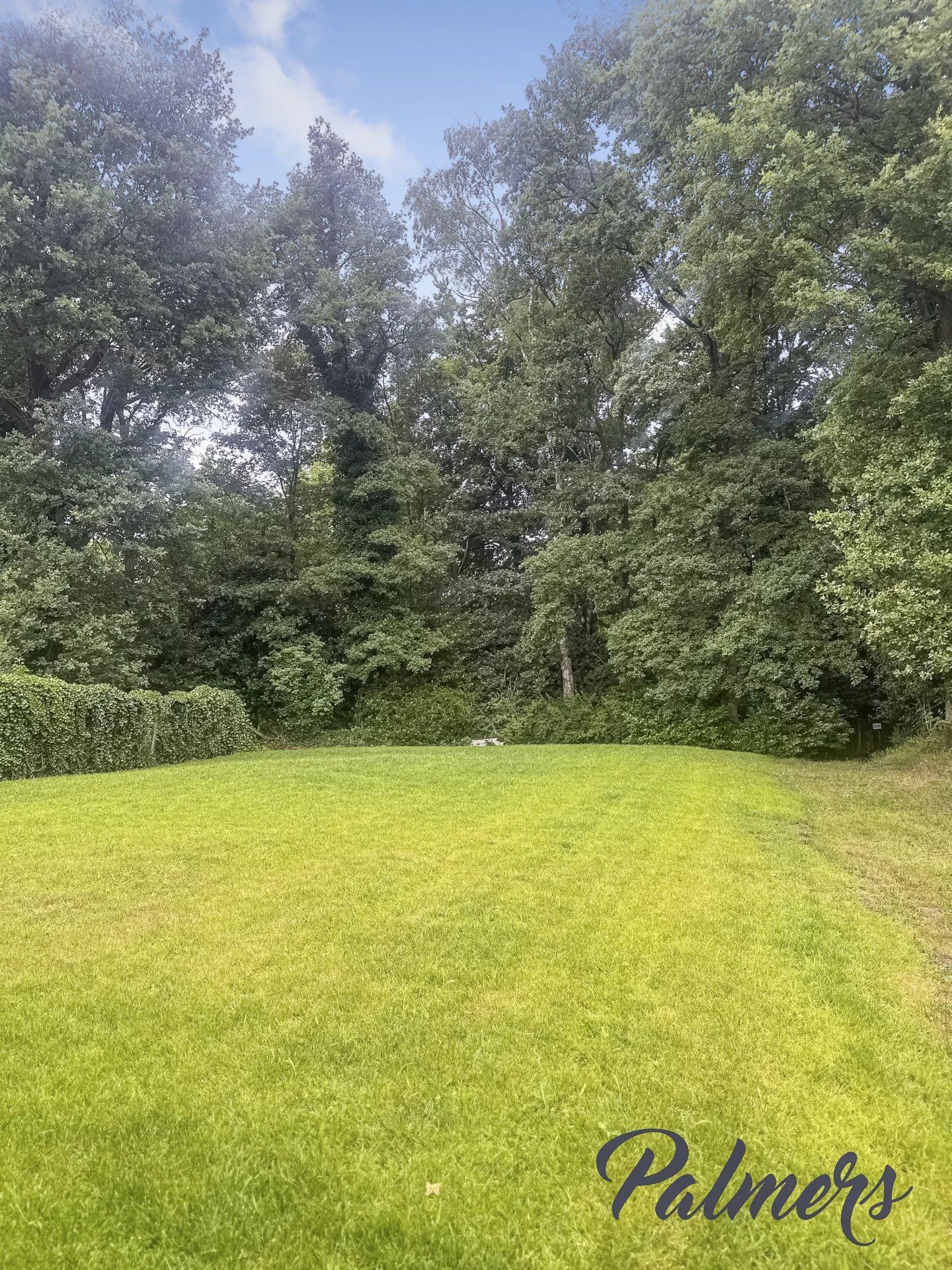 Comfort, ruimte èn ligging: instapklaar wonen in het groen. foto 31